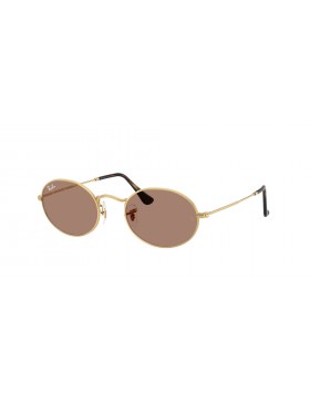  RAY BAN  